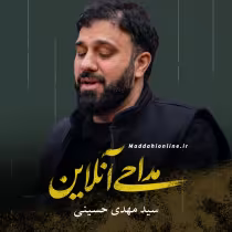 سید مهدی حسینی