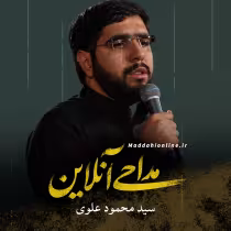 سید محمود علوی