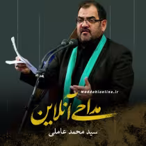 سید محمد عاملی